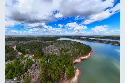 3 Acres Happy Hollow Road, Hampton, GA 30228 - Photo 5