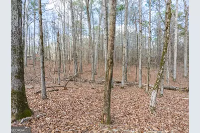 3 Acres Happy Hollow Road, Hampton, GA 30228 - Photo 33