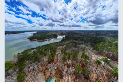 3 Acres Happy Hollow Road, Hampton, GA 30228 - Photo 3