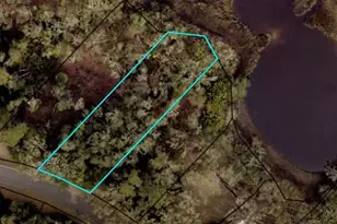 303 S Point Blvd, Saint Marys, GA 31558 - Photo 1