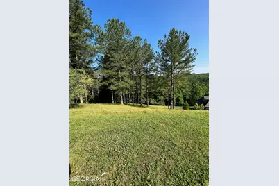 Lt 54 Pinehurst Road, Blairsville, GA 30512 - Photo 9