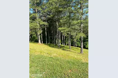 Lt 54 Pinehurst Road, Blairsville, GA 30512 - Photo 3