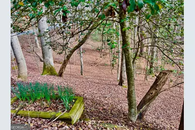 985 Ogden Drive, Ellijay, GA 30540 - Photo 25
