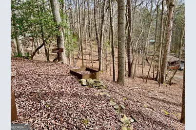 985 Ogden Drive, Ellijay, GA 30540 - Photo 3