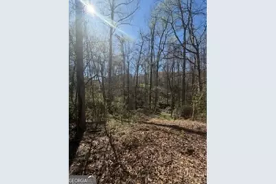 11005 Regents Court, Hampton, GA 30228 - Photo 5