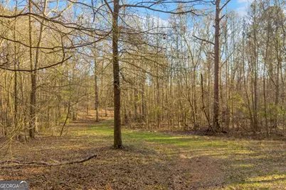 8714 Highway 172, Comer, GA 30629 - Photo 13