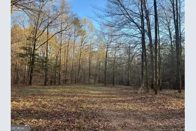 8714 Highway 172, Comer, GA 30629 - Photo 47