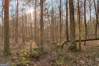 8714 Highway 172, Comer, GA 30629 - Photo 15