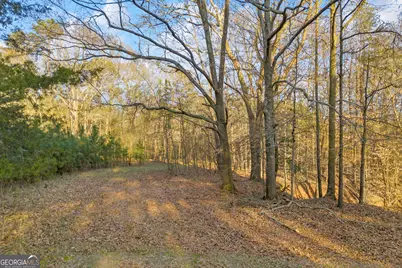8714 Highway 172, Comer, GA 30629 - Photo 23