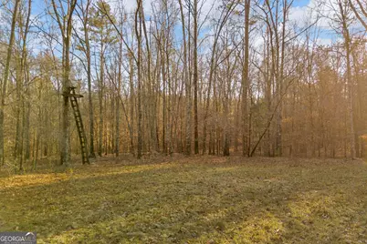 8714 Highway 172, Comer, GA 30629 - Photo 25
