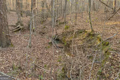 8714 Highway 172, Comer, GA 30629 - Photo 33