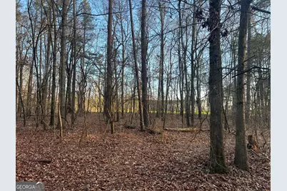 8714 Highway 172, Comer, GA 30629 - Photo 41