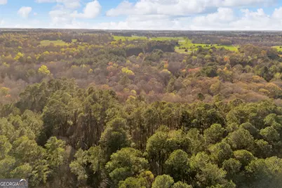 8714 Highway 172, Comer, GA 30629 - Photo 63