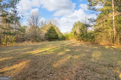 8714 Highway 172, Comer, GA 30629 - Photo 31