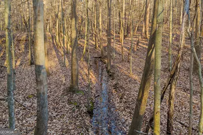 8714 Highway 172, Comer, GA 30629 - Photo 29
