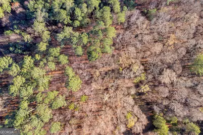 8714 Highway 172, Comer, GA 30629 - Photo 55