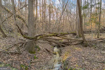 8714 Highway 172, Comer, GA 30629 - Photo 35