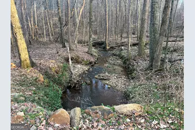 8714 Highway 172, Comer, GA 30629 - Photo 49