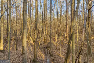 8714 Highway 172, Comer, GA 30629 - Photo 27