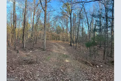 8714 Highway 172, Comer, GA 30629 - Photo 45