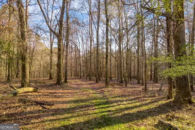 8714 Highway 172, Comer, GA 30629 - Photo 11
