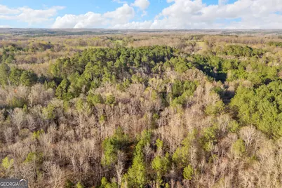 8714 Highway 172, Comer, GA 30629 - Photo 61