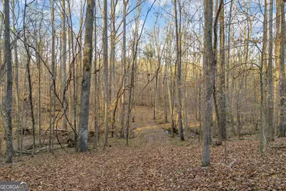 8714 Highway 172, Comer, GA 30629 - Photo 37