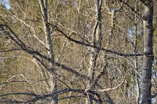 1448 Bohannon Rd, Grantville, GA 30220 - Photo 39