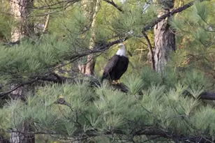 1448 Bohannon Rd, Grantville, GA 30220 - Photo 37