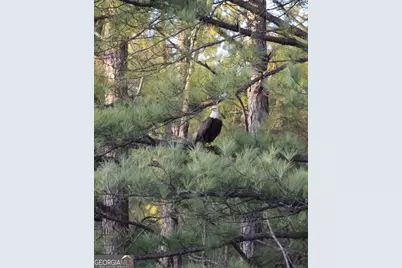 1448 Bohannon Road, Grantville, GA 30220 - Photo 25