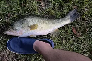 1448 Bohannon Rd, Grantville, GA 30220 - Photo 35