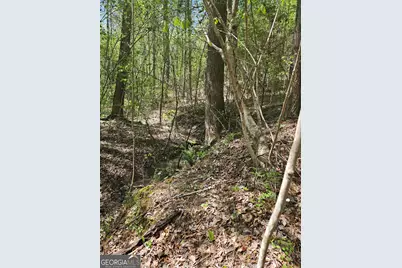 0 Maple Grove Church Rd, Chatsworth, GA 30705 - Photo 3