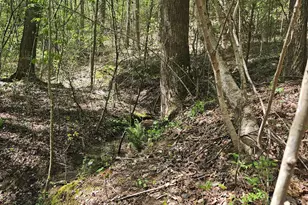 0 Maple Grove Church Rd, Chatsworth, GA 30705 - Photo 3