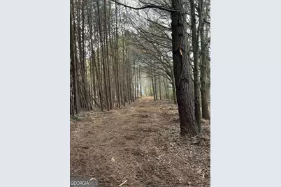 3108 Bold Springs Road, Dacula, GA 30019 - Photo 11