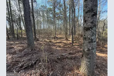 3108 Bold Springs Road, Dacula, GA 30019 - Photo 13