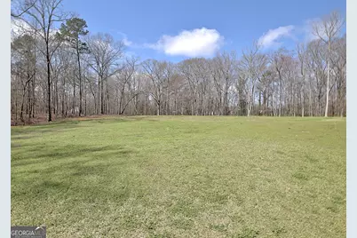 967 Tope Road, Sharpsburg, GA 30277 - Photo 91
