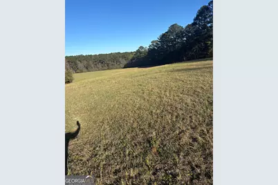 0 Robert Hodnett Road, Pine Mountain, GA 31822 - Photo 11