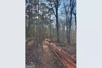 0 Robert Hodnett Road, Pine Mountain, GA 31822 - Photo 13