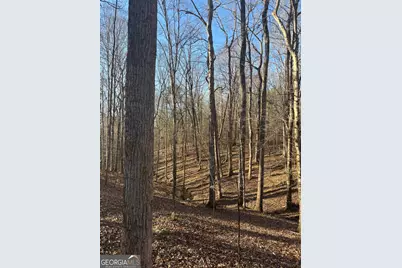 0 Robert Hodnett Road, Pine Mountain, GA 31822 - Photo 15