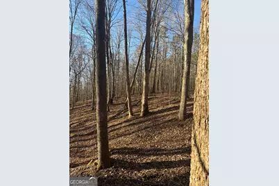 0 Robert Hodnett Road, Pine Mountain, GA 31822 - Photo 19