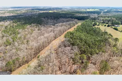 0 Robert Hodnett Road, Pine Mountain, GA 31822 - Photo 3
