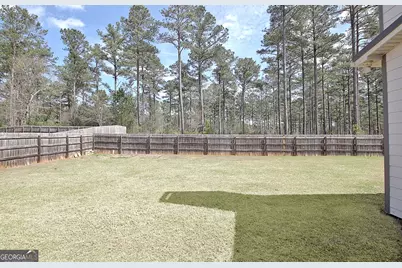 201 Fox Hall Crossing E, Senoia, GA 30276 - Photo 47
