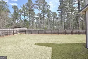 201 Fox Hall Crossing E, Senoia, GA 30276 - Photo 47