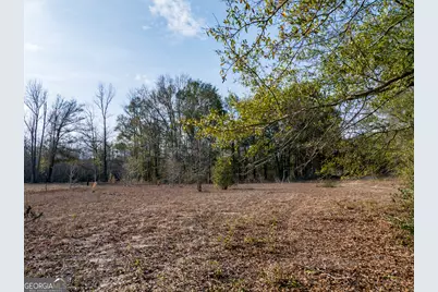 4.12 Acres Ga Hwy 24, Sardis, GA 30456 - Photo 11