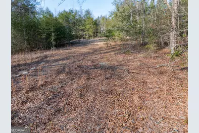4.12 Acres Ga Hwy 24, Sardis, GA 30456 - Photo 9