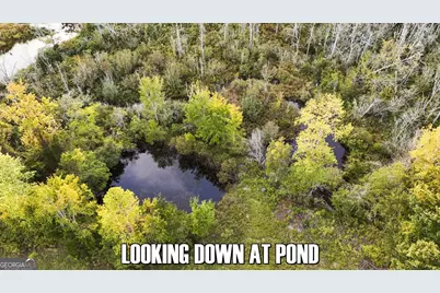 4.12 Acres Ga Hwy 24, Sardis, GA 30456 - Photo 3