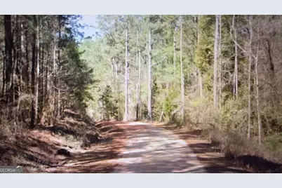 0 Wadley Street, Greenville, GA 30222 - Photo 5