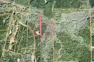 0 Wadley St, Greenville, GA 30222 - Photo 1