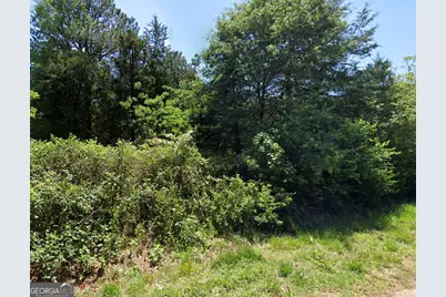 825 Robert Reid Road, Royston, GA 30662 - Photo 3