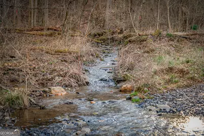 120 Cohutta Ranch Road, Blue Ridge, GA 30513 - Photo 91